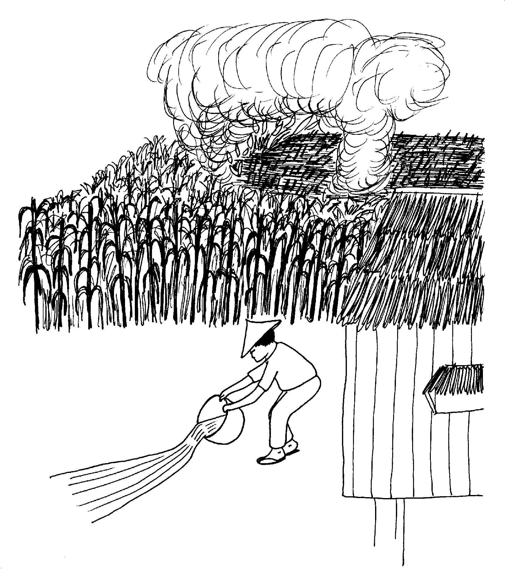 Picture from book10.14.png