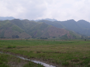 Picture of mapatag